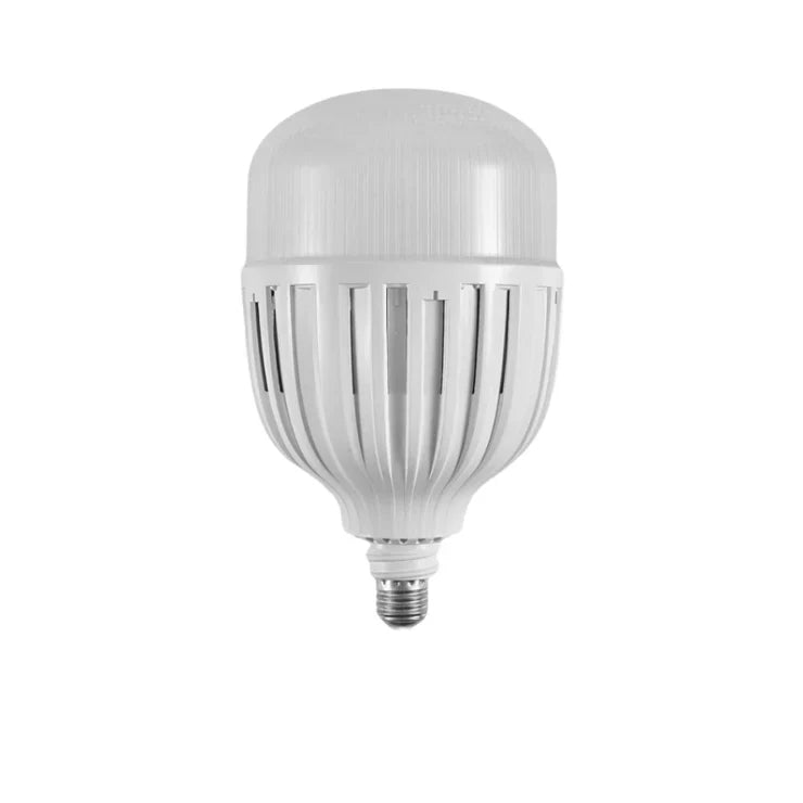 Light 100W Daylight — LE 0100-27-DL