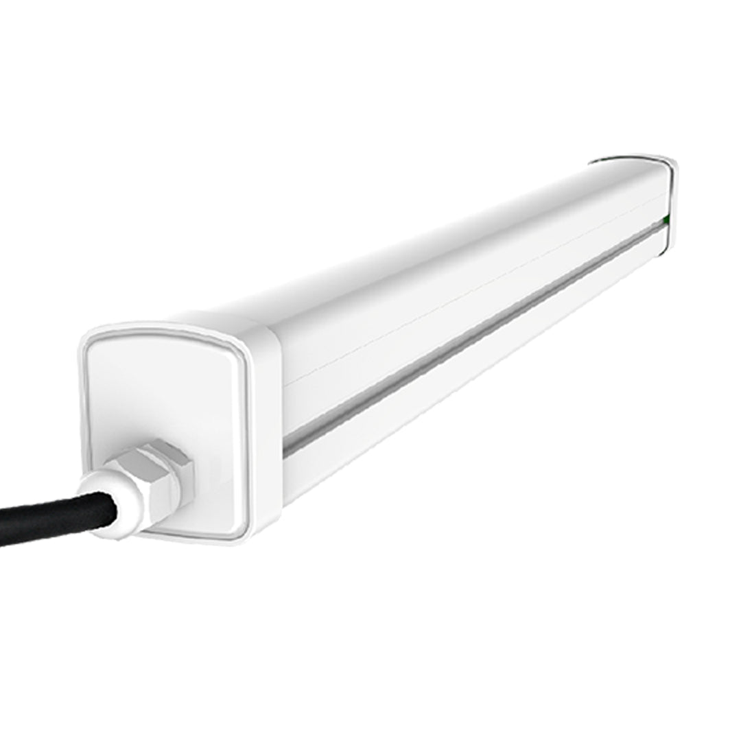 Tubelights Daylight White — FI TPIF-36-DL