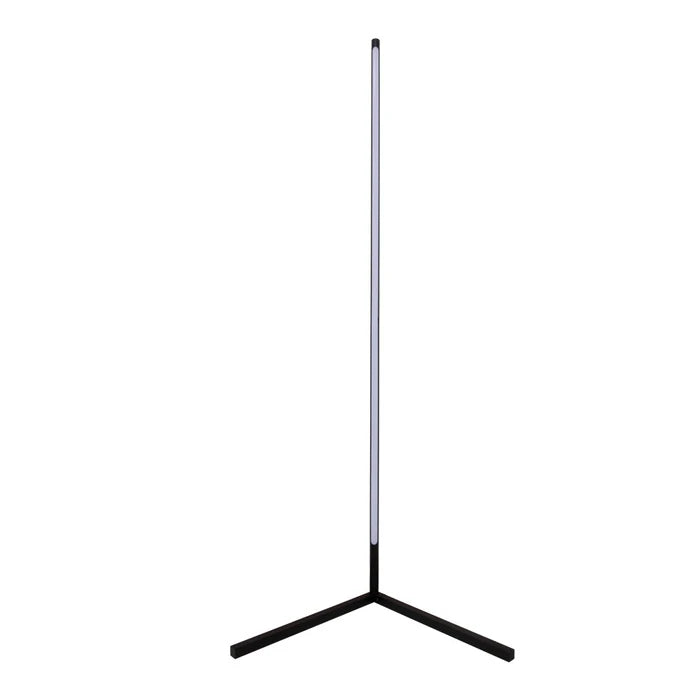 Floor Lamp with Remote — LD B818-RG