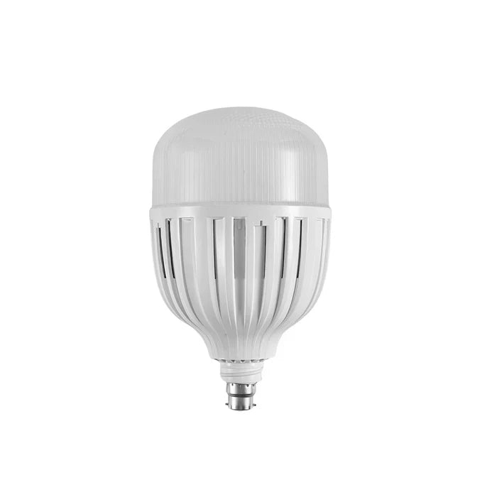 Light B22 100W Daylight — LE 0100-22-DL