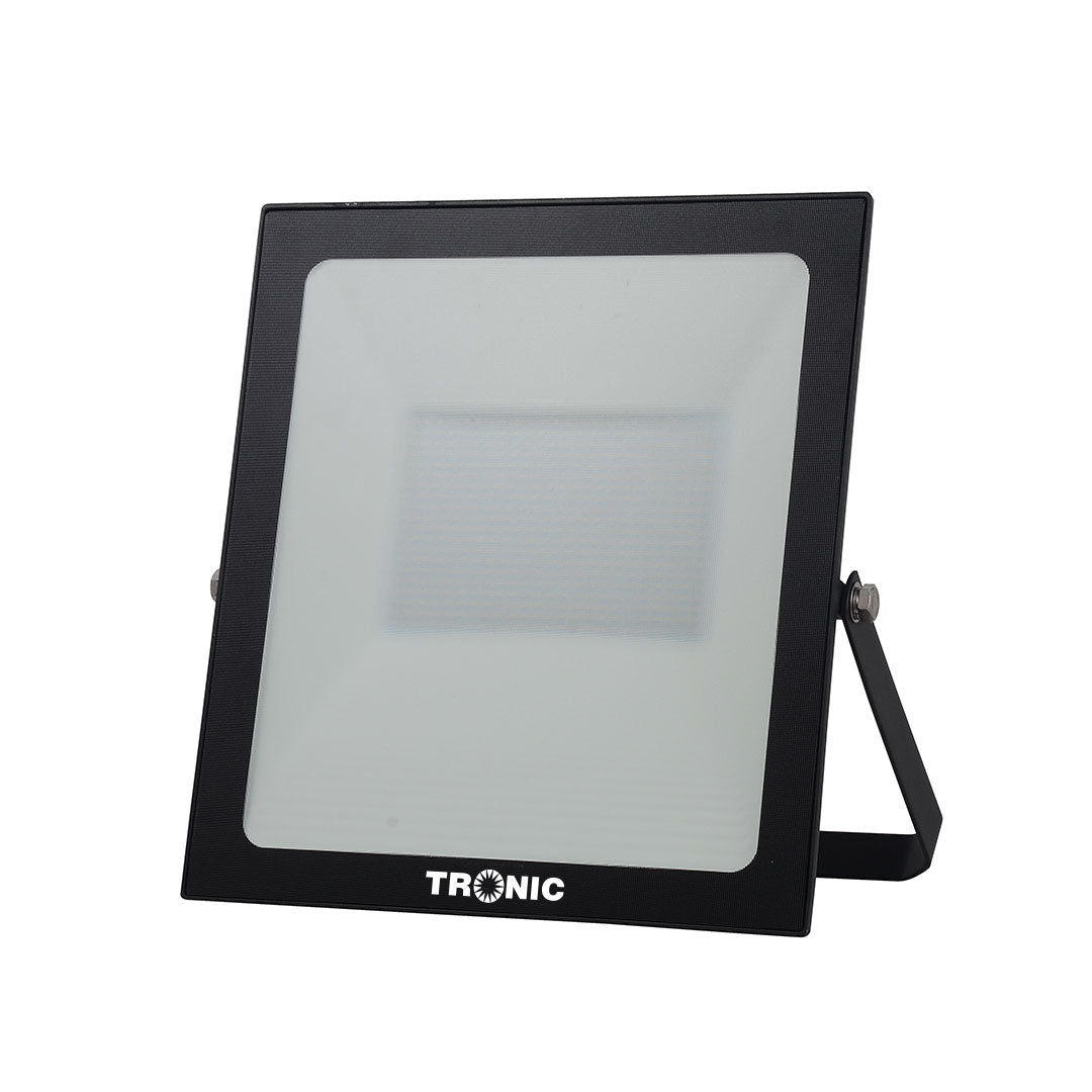 Basic 100W Daylight — SL 3079-10-BK