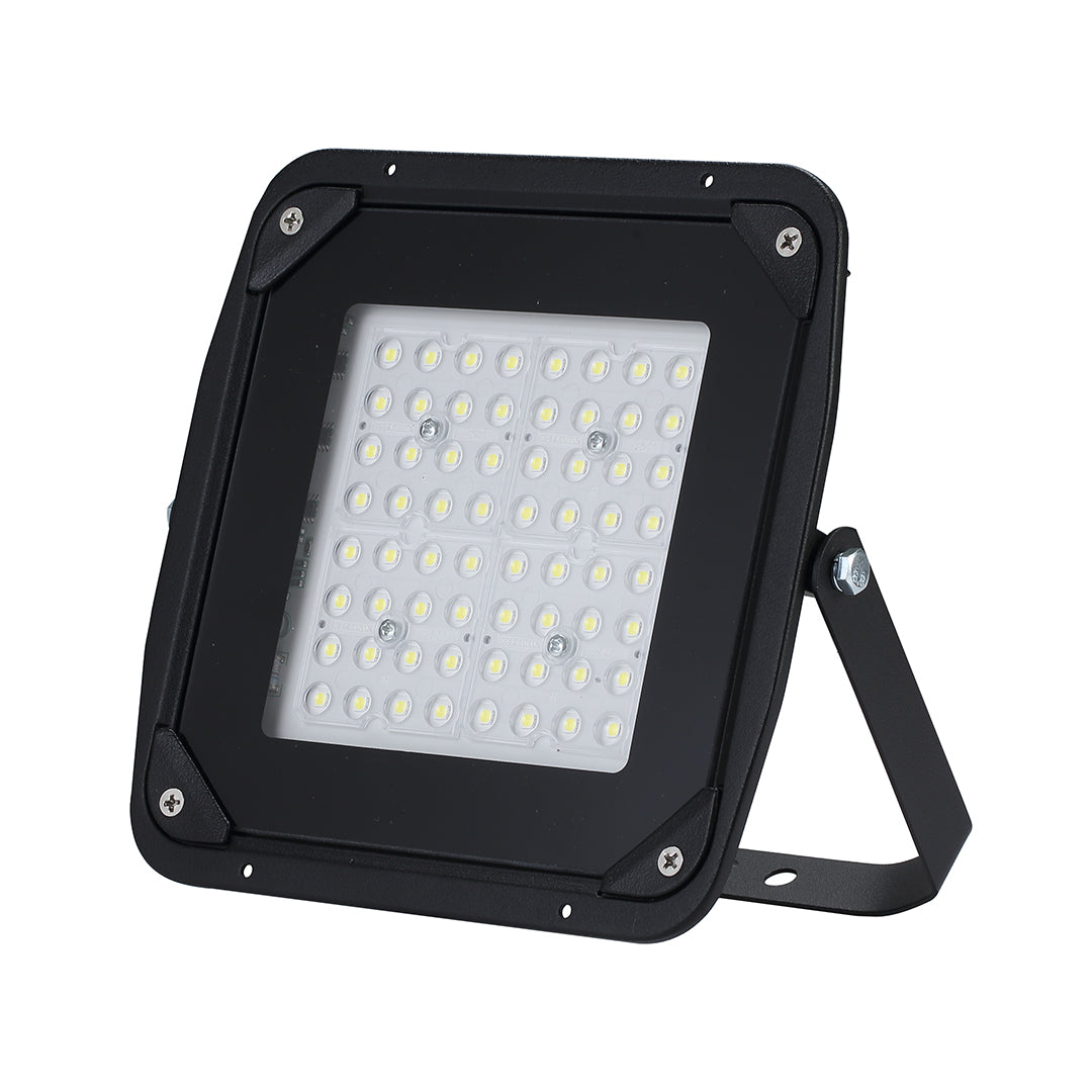 Basic 50W Daylight — SL 2099-05