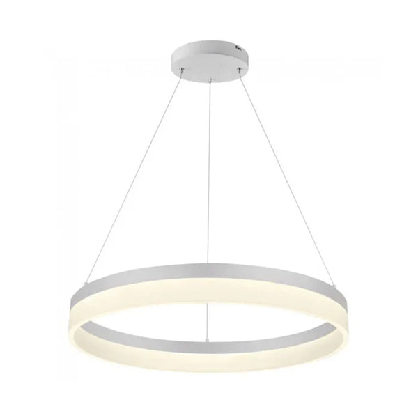 Modern Large Single Pendant Light — WH 011A-C2-48-DL