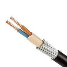 10mm 2Core Armoured Cable — ACSEA102M