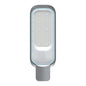 Roadway Beam 50W Daylight Gray — EST SL25-05-DL