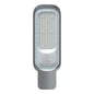Street Light 100W Daylight — EST SL25-10-DL