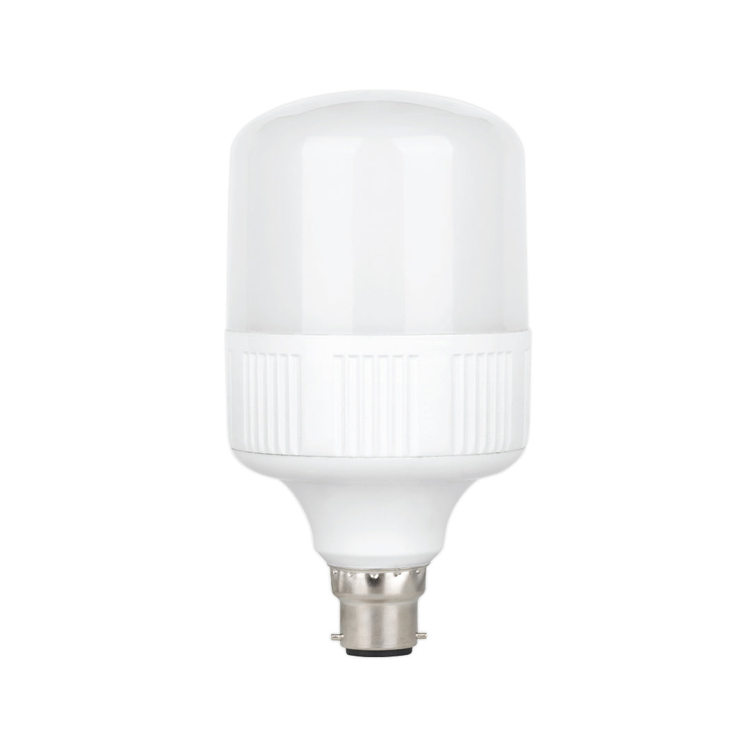 Standard 40W Daylight — LE 4022-DL