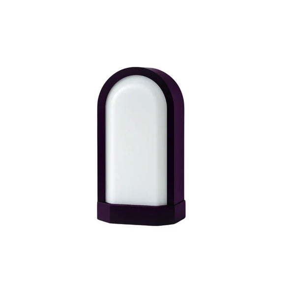 12W LED Outdoor Wall Light Tri-Colour Surge Protected LL 2313-12-BK-TC — LL 2313-12-BK-TC