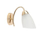 Wall Light Modern Fixture Frosted Black — PL 7011-27-01-BK