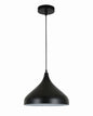Pendant Light E27 Black — PL 6301-BK
