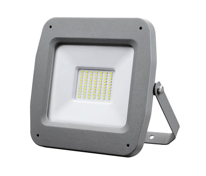 Flood Light 50W Daylight Gray — SL 2079-05-DL