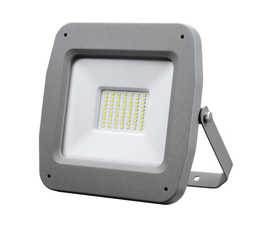 Flood Light 50W Daylight Gray — SL 2079-05-DL