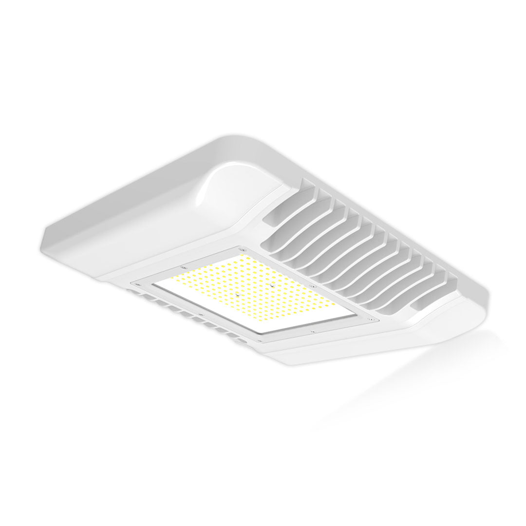 Overhead Canopy 100W Daylight — SL C150-DL