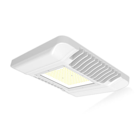 Overhead Canopy 100W Daylight — SL C150-DL