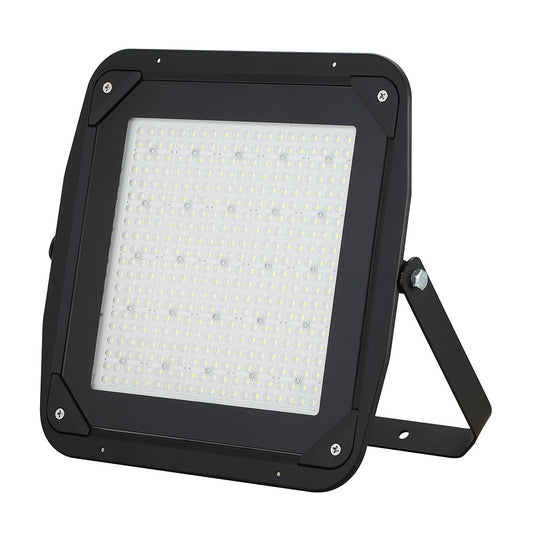 Basic 200W Daylight — SL 2099-30-DL