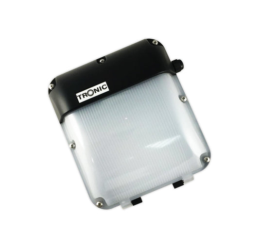 Flat Wall Light Daylight — SL 2160-01-DL