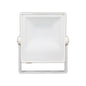 Basic 50W Daylight White — SL 3079-05-WH-DL