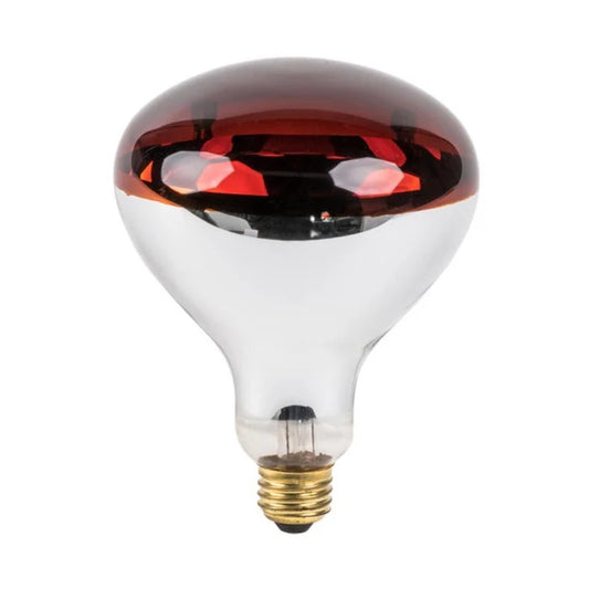 250W Infrared Bulb - E27-Screw — SP 1250