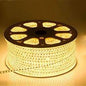 Flexible Neon Warm White Stainless Steel — SS ROPE-WW