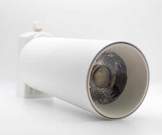 Spotlight 20W Daylight White — TL 20WH-DL