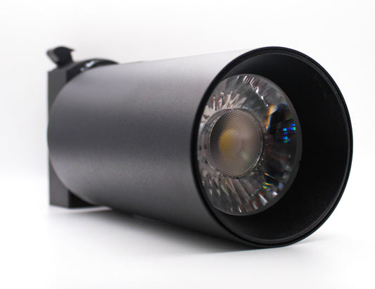 Spotlight 30W Daylight Black — TL 30BK-DL