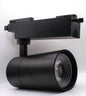 Spotlight 30W Daylight — TL 30BK-GD-DL