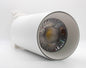 Spotlight 30W Daylight — TL 30WH-DL