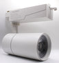 Spotlight 30W Daylight — TL 30WH-GD-DL
