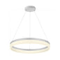Pendant Light Daylight White — WH 011A-C2-48-DL