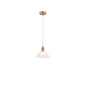Pendant Light E27 Brass — PL 2024-08-GL-CL